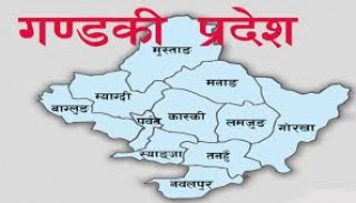 गण्डकी प्रदेशमा थप ५८ जनामा कोरोना संक्रमण