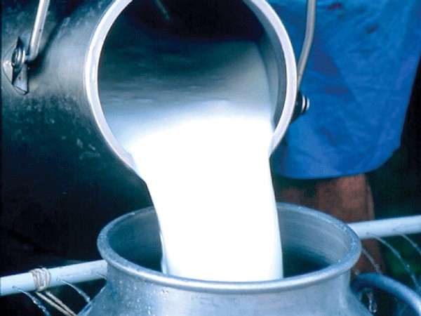 उद्योगी व्यवसायीको दुग्ध क्षेत्रमा २० अर्ब नोक्सानी