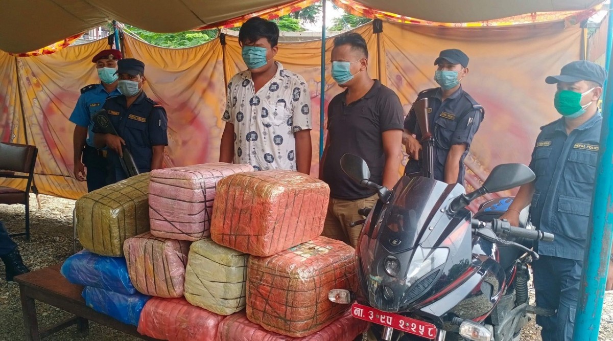 चितवनमा गाँजासहित दुई जना पक्राउ