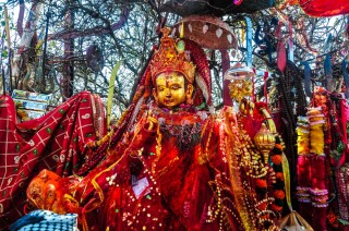 पाथीभरामा २० हजारभन्दा बढी भक्तजनले गरे पूजापाठ