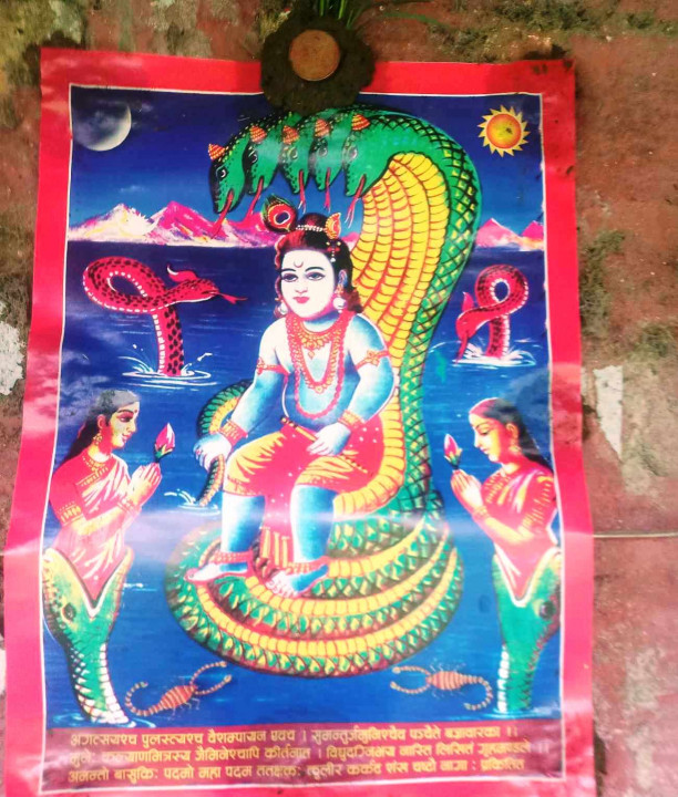 आज नागपञ्चमी पर्व , घरका मूलढोकामा नागको तस्वीर टाँसी पूजा अर्चना गरी मनाइँदै