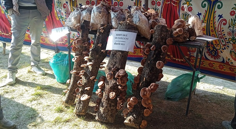 pics2_KHKhNprKIw.jpg